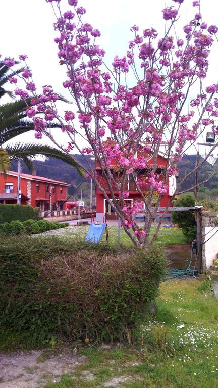 Hotel El Sueve كولونغا المظهر الخارجي الصورة